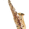 J MICHAEL STUDENT ALTO SAXOPHONE-LACQUER -Musical Instrument Store AAL500