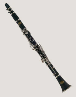 J MICHAEL Bb CLARINET W/ CASE