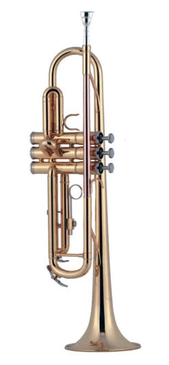 J MICHAEL TRUMPET-LACQUER