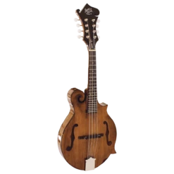Barnes & Mullins BM650 Salvino Mandolin