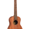 AMS 1880 UKULELE CO. 100 Series Tenor Ukulele -Musical Instrument Store EU100T
