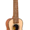 AMS 1880 UKULELE CO. 200 Series Soprano Ukulele -Musical Instrument Store EU200S