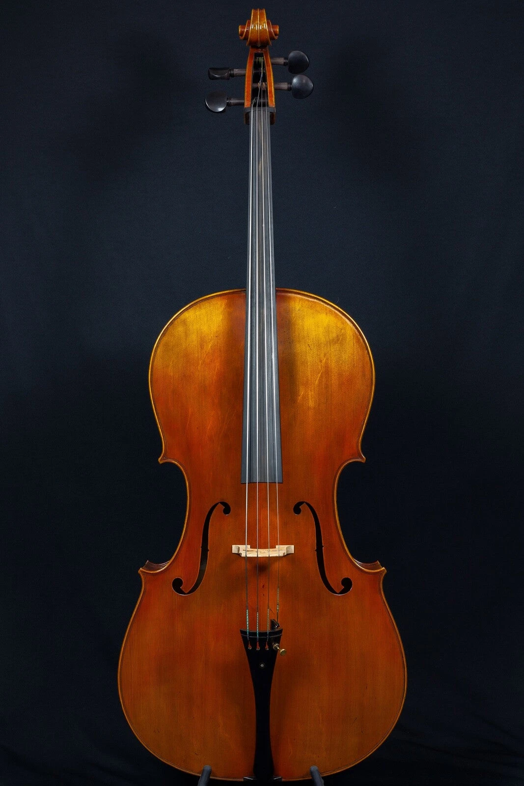 Hidersine Reserve Cello 4/4 3 Hidersine Reserve Cello 4/4