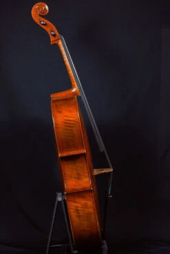 Hidersine Reserve Cello 4/4 11 Hidersine Reserve Cello 4/4 -Musical Instrument Store HWC100S 6394e452 9111 4436 a2db daa045397df8