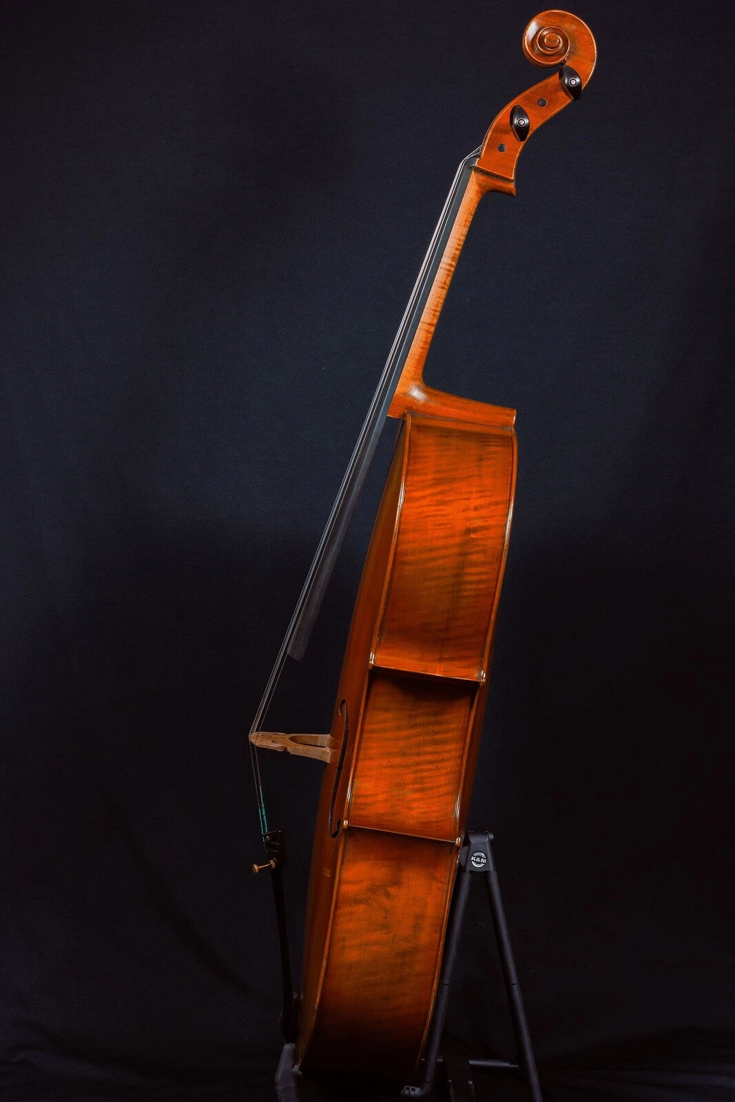 Hidersine Reserve Cello 4/4 6 Hidersine Reserve Cello 4/4 - Image 4