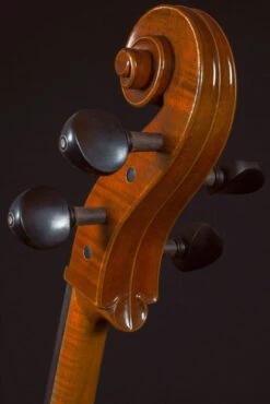 Hidersine Reserve Cello 4/4 15 Hidersine Reserve Cello 4/4 -Musical Instrument Store HWC100S 98f3bd1b ec05 4197 be16 764febad460a