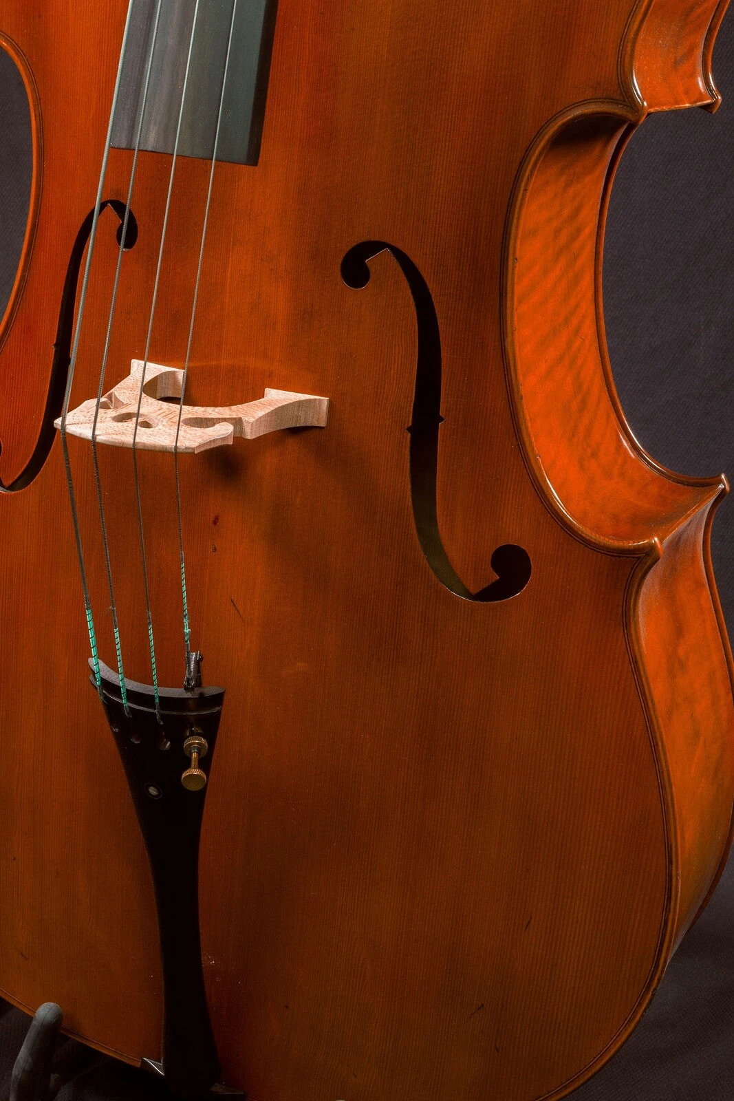 Hidersine Reserve Cello 4/4 8 Hidersine Reserve Cello 4/4 - Image 6