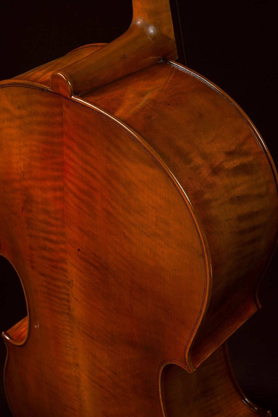 Hidersine Reserve Cello 4/4 7 Hidersine Reserve Cello 4/4 - Image 5