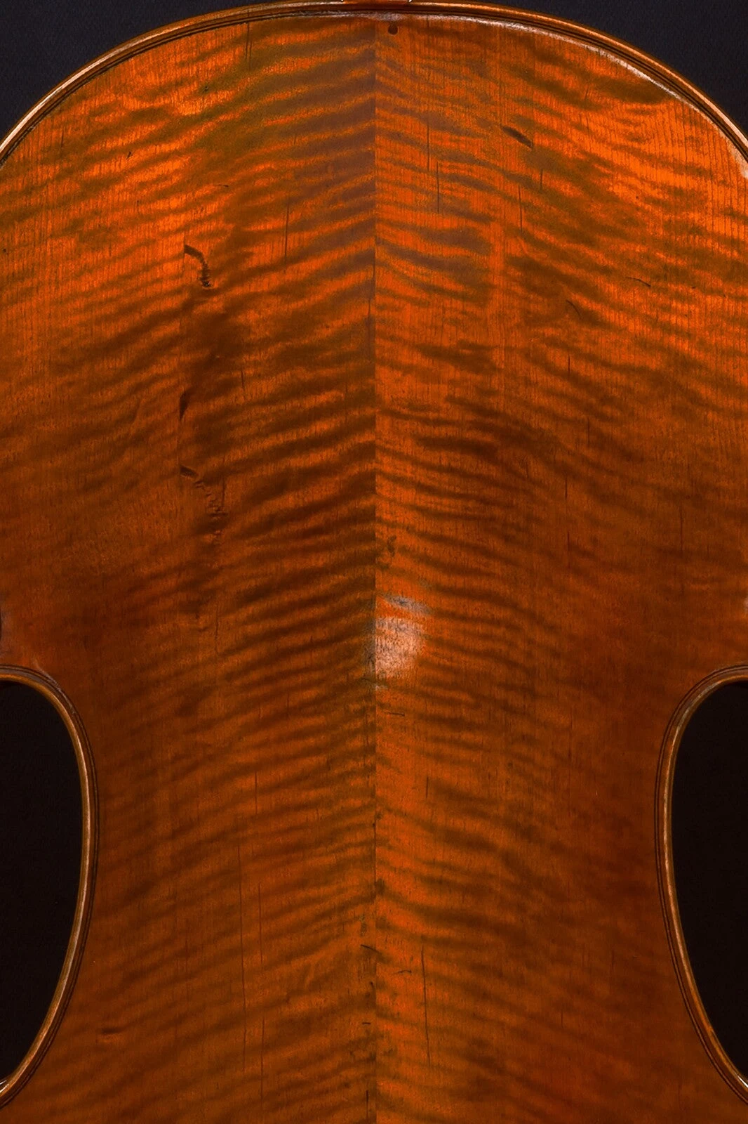 Hidersine Reserve Cello 4/4 4 Hidersine Reserve Cello 4/4 - Image 2