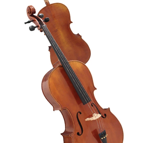 Hidersine Reserve 4/4 Cello 4 Hidersine Reserve 4/4 Cello - Image 2