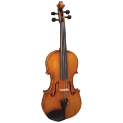 Hidersine Reserve WV400 4/4 Violin Outfit Inc. Setup.