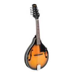 AMS Bryden Archtop Mandolin