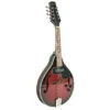 AMS Bryden Electric/Acoustic Arch Top Mandolin -Musical Instrument Store SMA50E