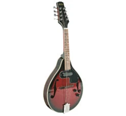 AMS Bryden Electric/Acoustic Arch Top Mandolin